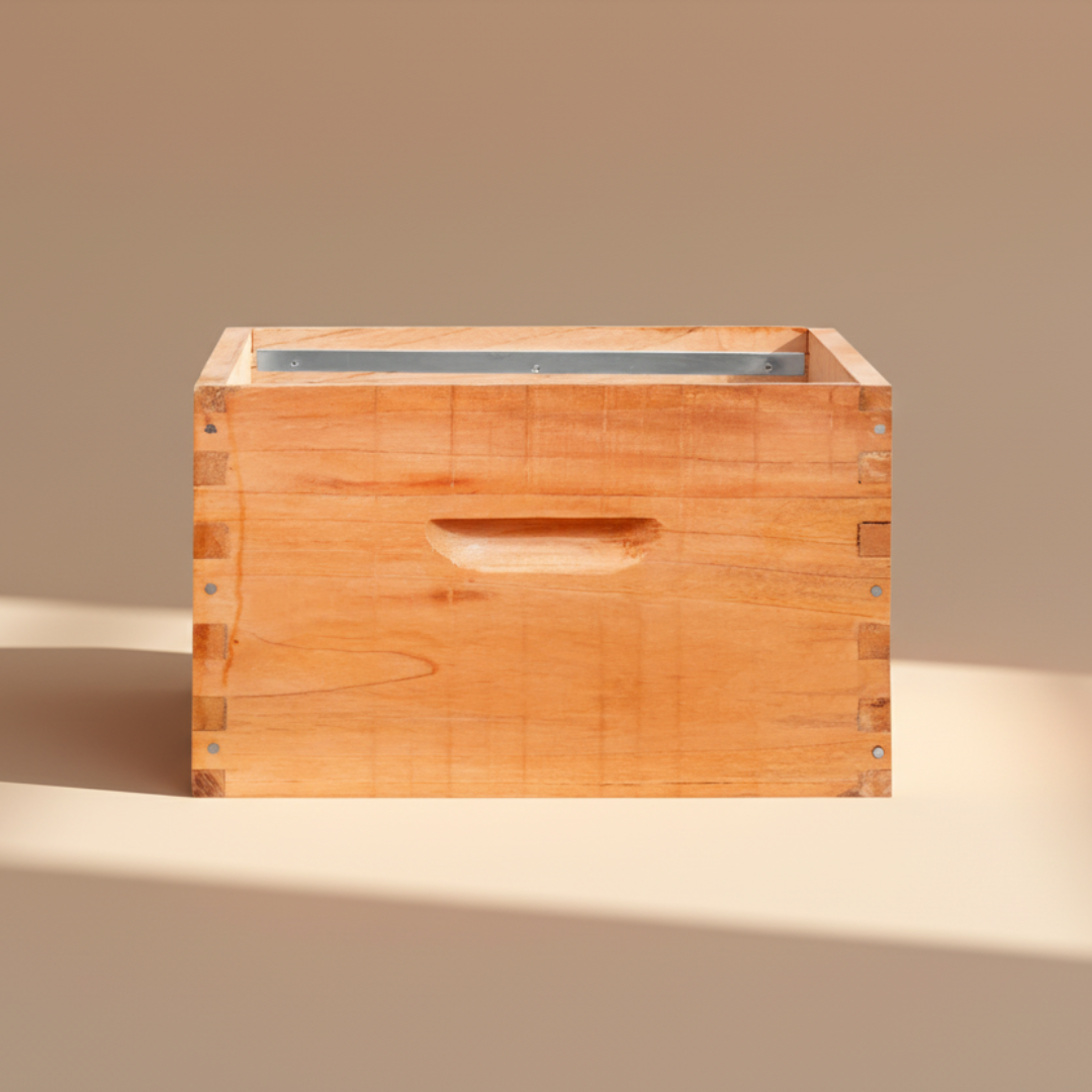 Cámara De Cría Vacía