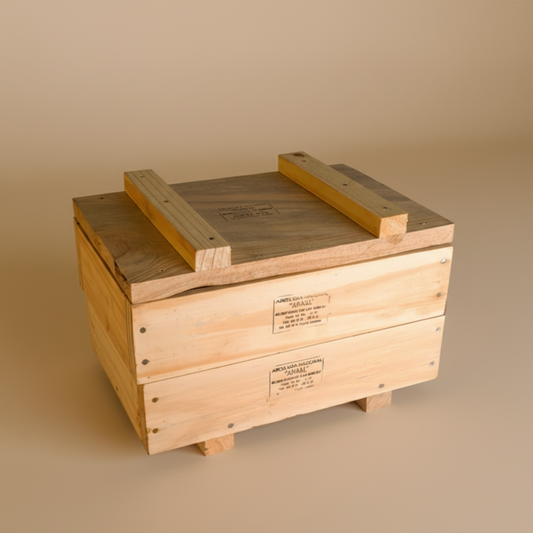 Colmena Melipona - Horizontal