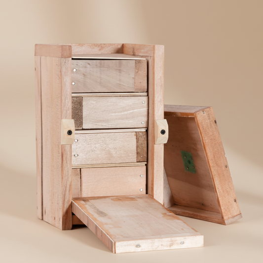 Colmena Melipona | Vertical