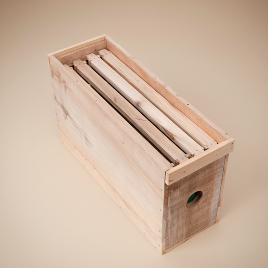 Núcleo de Abejas Obreras