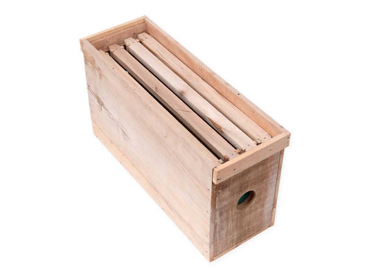 Núcleo de Abejas Obreras